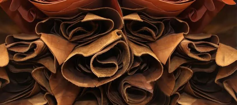 Leather hides and materials for product development